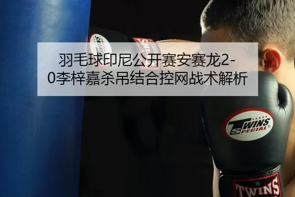 yu-mao-qiu-yin-ni-gong-kai-sai-an-sai-long-li-zi-jia-sha-diao-jie-he-kong-wang-zhan-shu-jie-xi-2-365.jpg